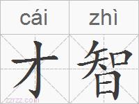 才智的拼音
