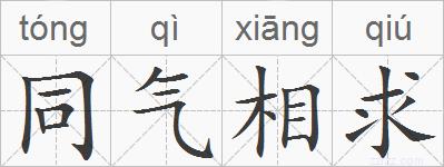 同气相求的拼音