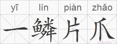 一鳞片爪的拼音